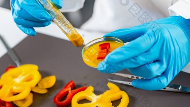 速冻食品电商运营费用预算解析：关键因素与优化策略